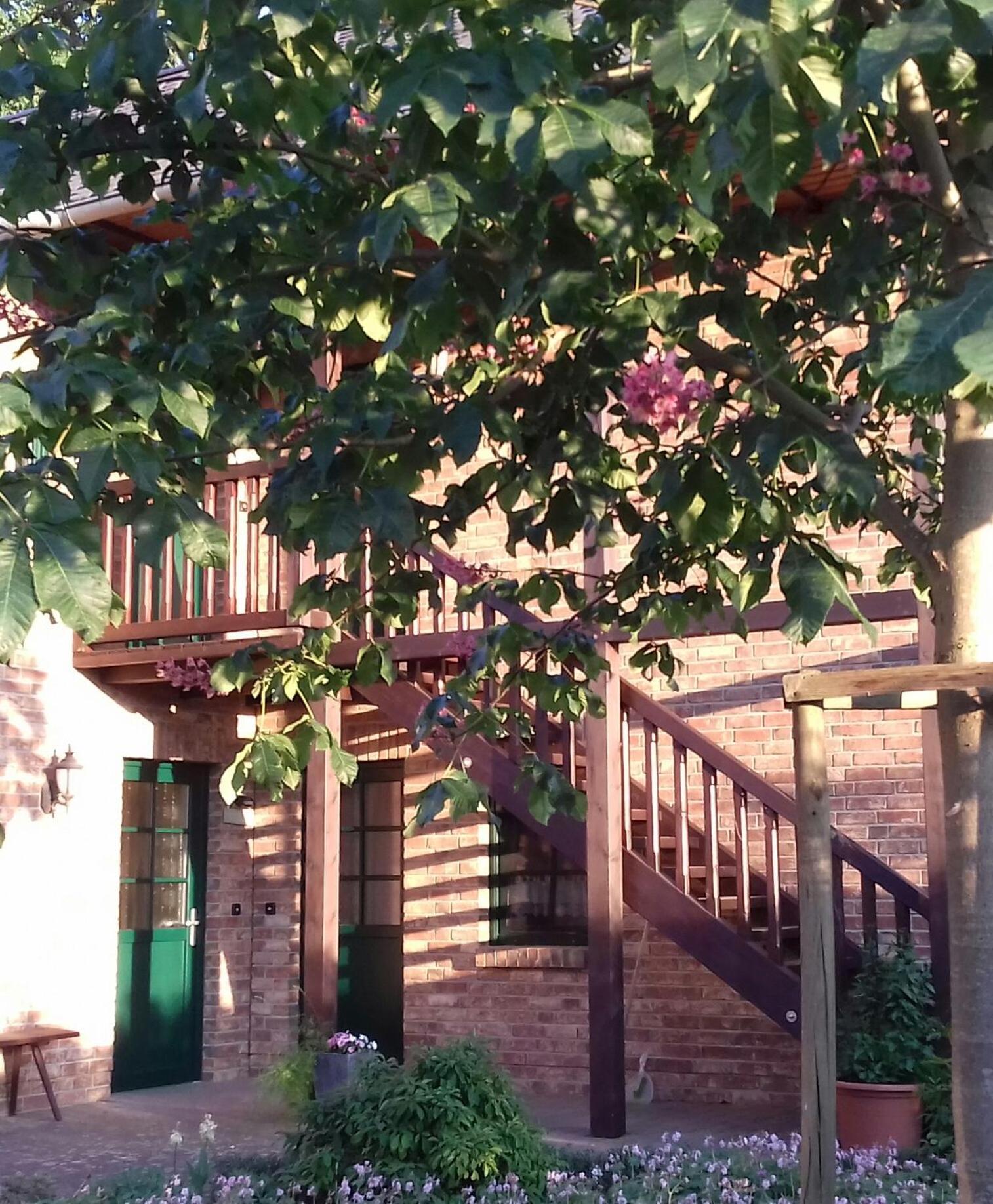 Kastanienhof Apartment Burg  Luaran gambar